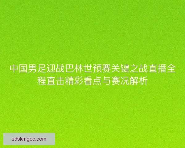 中国男足迎战巴林世预赛关键之战直播全程直击精彩看点与赛况解析